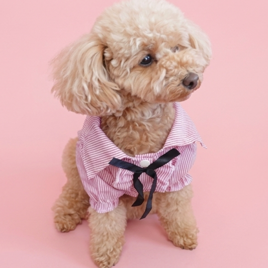 犬服 小型犬|ピンクのストライプリボンフリルシャツトップス