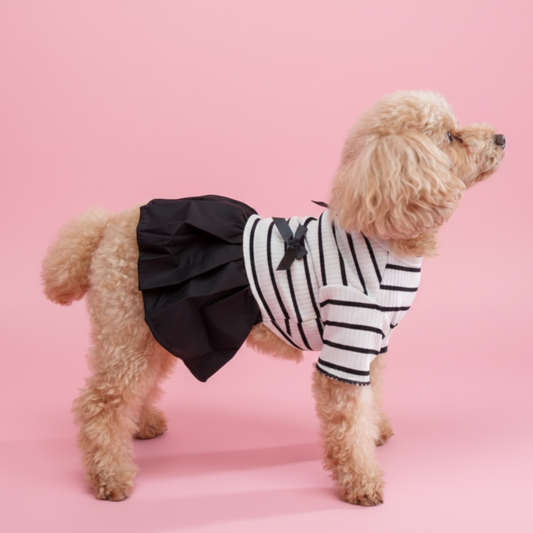 犬服 小型犬|リボン付き ボーダーフリルワンピース(オールシーズン)