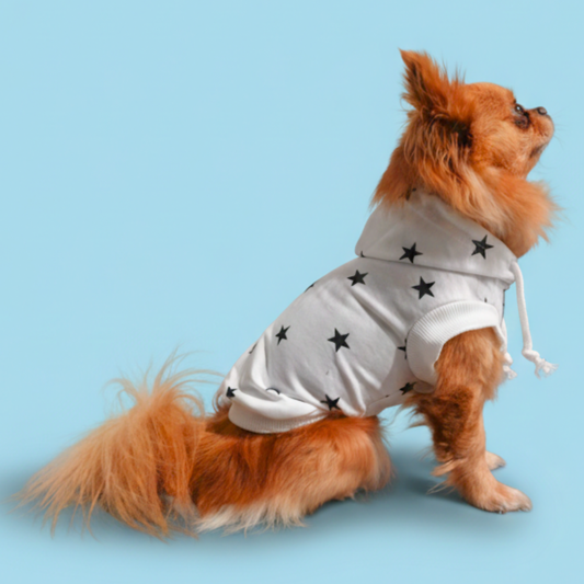 犬服 小型犬|星柄パーカー 薄手スウェット フーディー 年中使えるカジュアルウェア