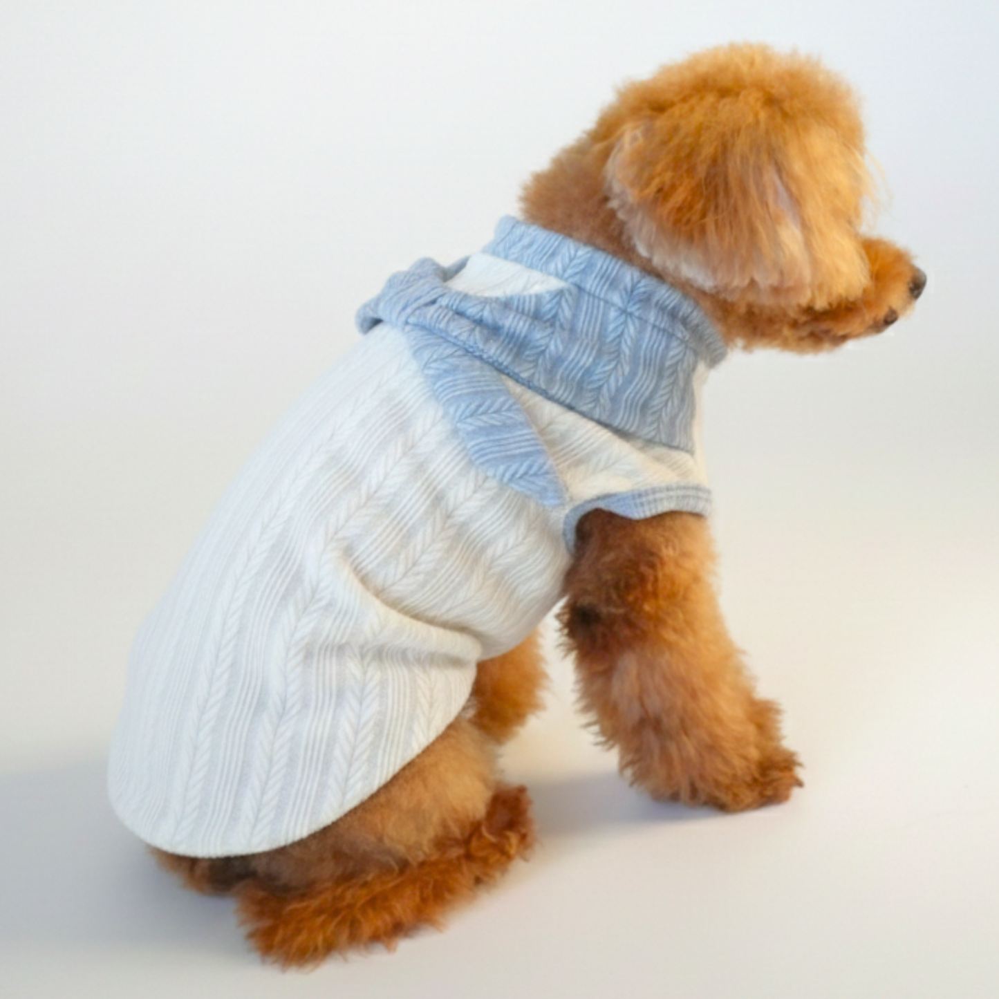 犬服 小型犬｜ケーブルニット風トップス ブルーリボン付き ナチュラルデザイン