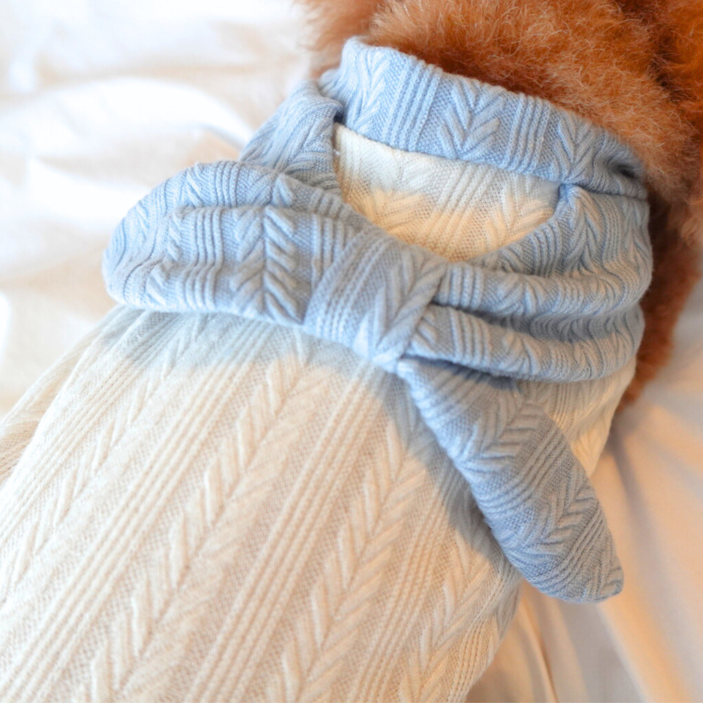 犬服 小型犬｜ケーブルニット風トップス ブルーリボン付き ナチュラルデザイン