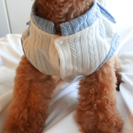 犬服 小型犬｜ケーブルニット風トップス ブルーリボン付き ナチュラルデザイン