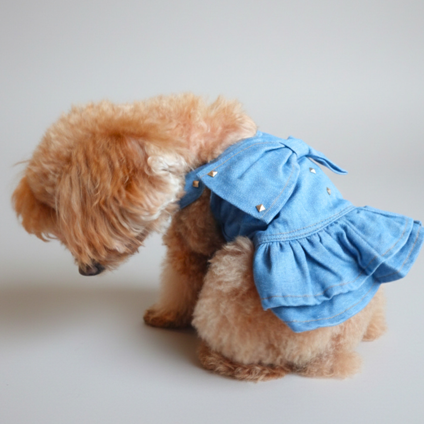 犬服 小型犬｜デニム風リボンワンピース 上品スタッズ付きフリルデザイン