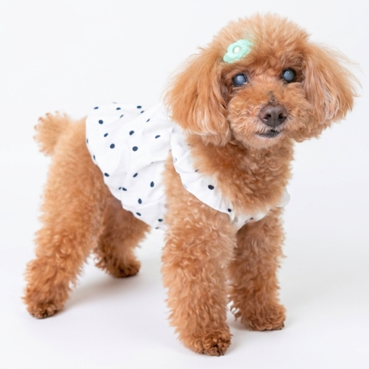 犬服 小型犬 春夏｜GW限定セール 最大50%OFF – Maison de Mii
