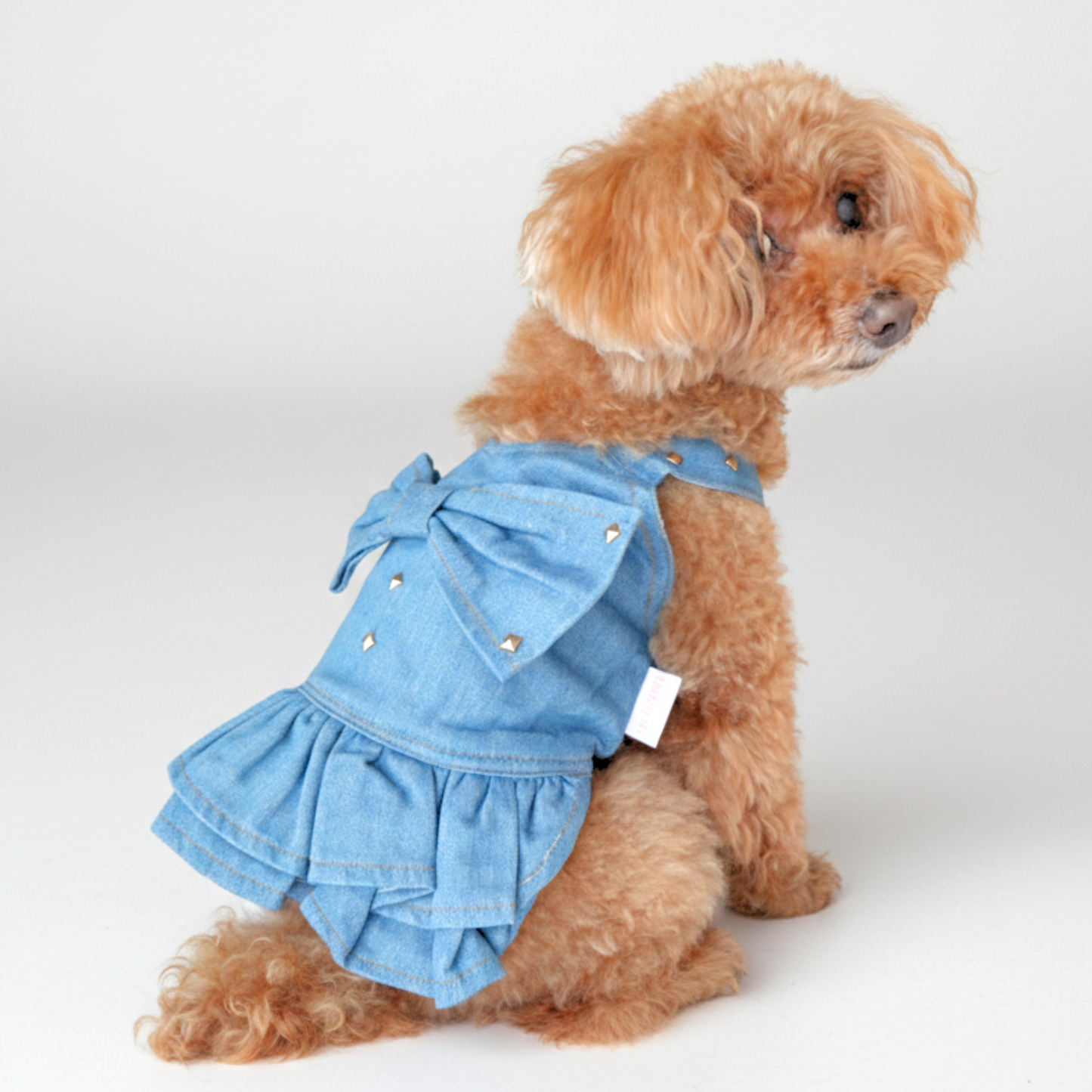 犬服 小型犬｜デニム風リボンワンピース 上品スタッズ付きフリルデザイン