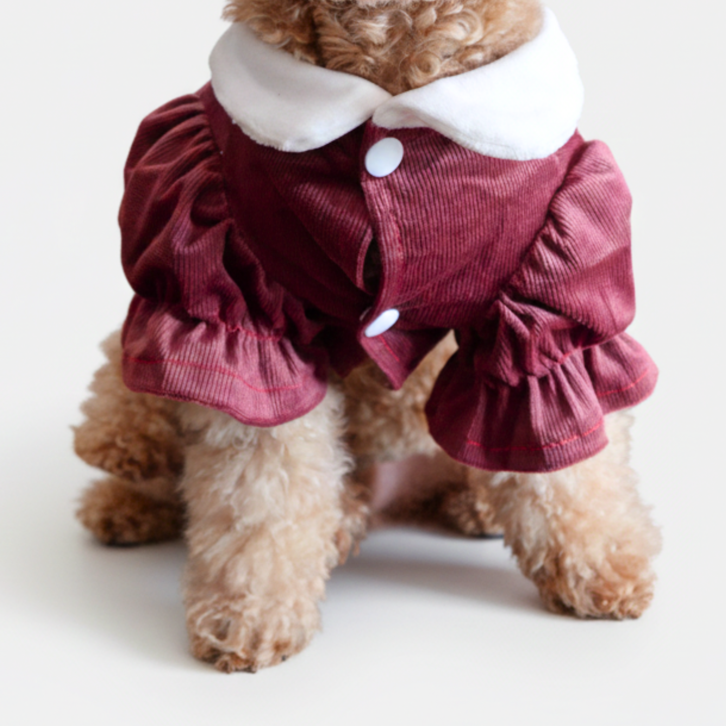 犬服 小型犬｜ベロア 丸襟パフスリーブワンピース（ボルドー）