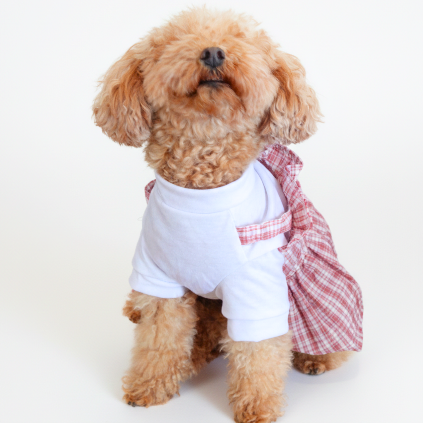 犬服 小型犬｜ギンガムチェック トップス付きワンピース（ミニ帽子付き）