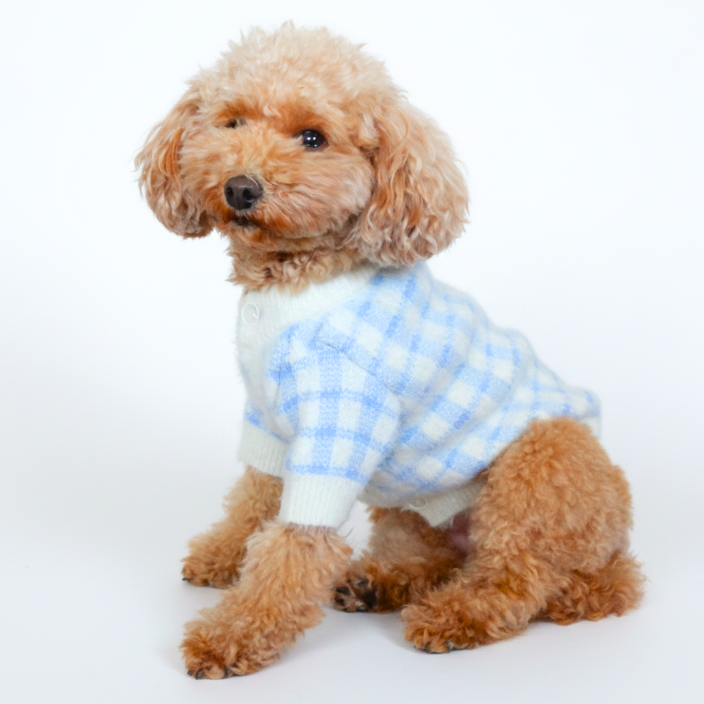 犬服 小型犬｜ギンガムチェック ニットカーディガン（ブルー）