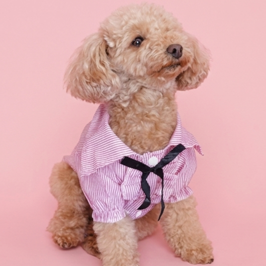 犬服 小型犬｜ピンクのストライプリボンフリルシャツトップス