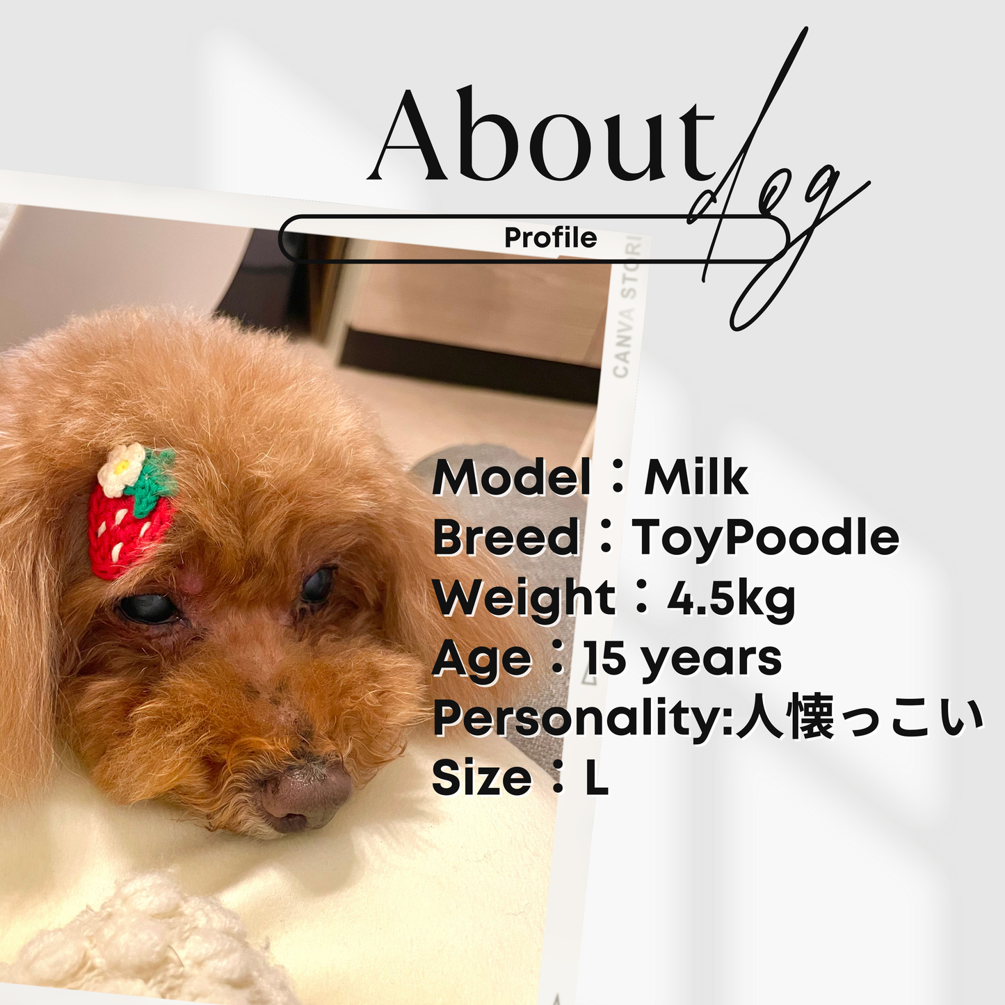 犬服 小型犬｜リボン ボアベスト 犬服 ふわもこ 防寒 秋冬ウェア