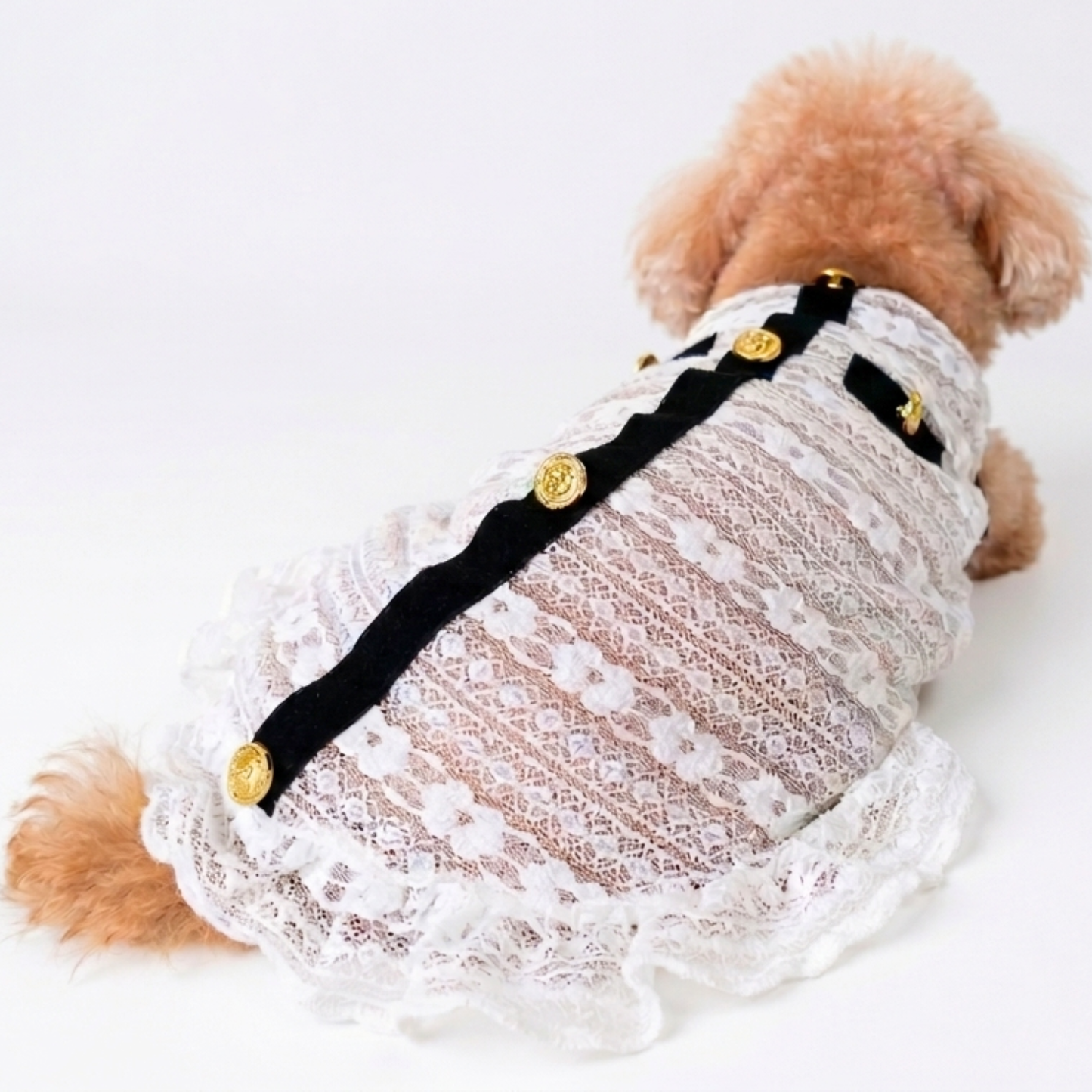 犬服 小型犬｜クラシカル 上品 シースルー レースワンピース