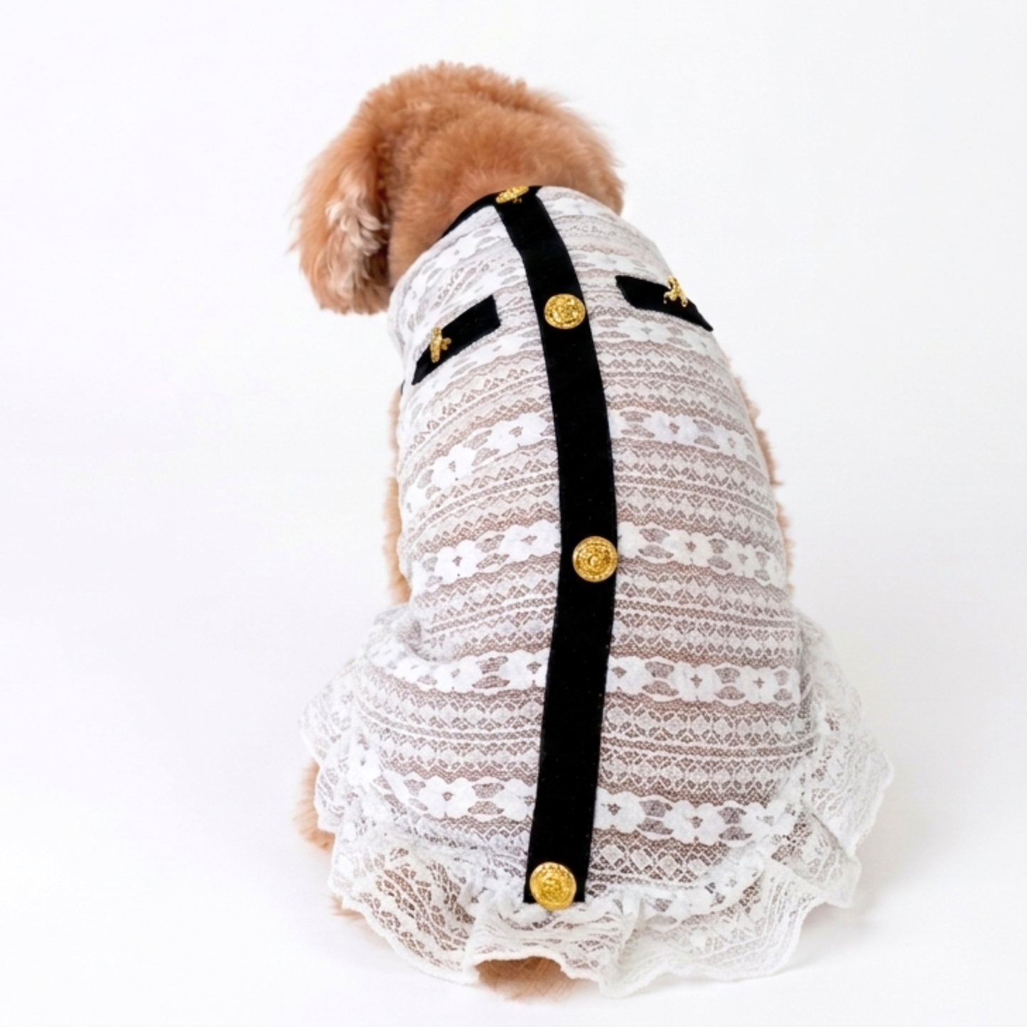 犬服 小型犬｜クラシカル 上品 シースルー レースワンピース