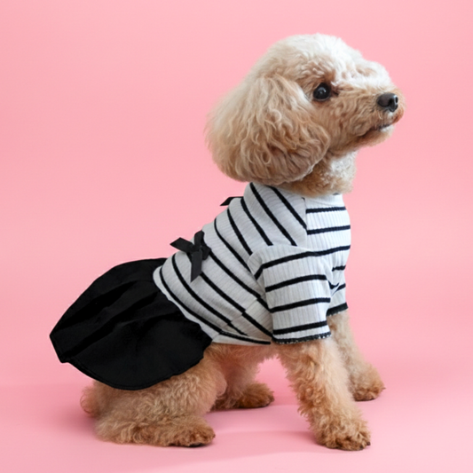 犬服 小型犬｜リボン付き ボーダーフリルワンピース（オールシーズン）