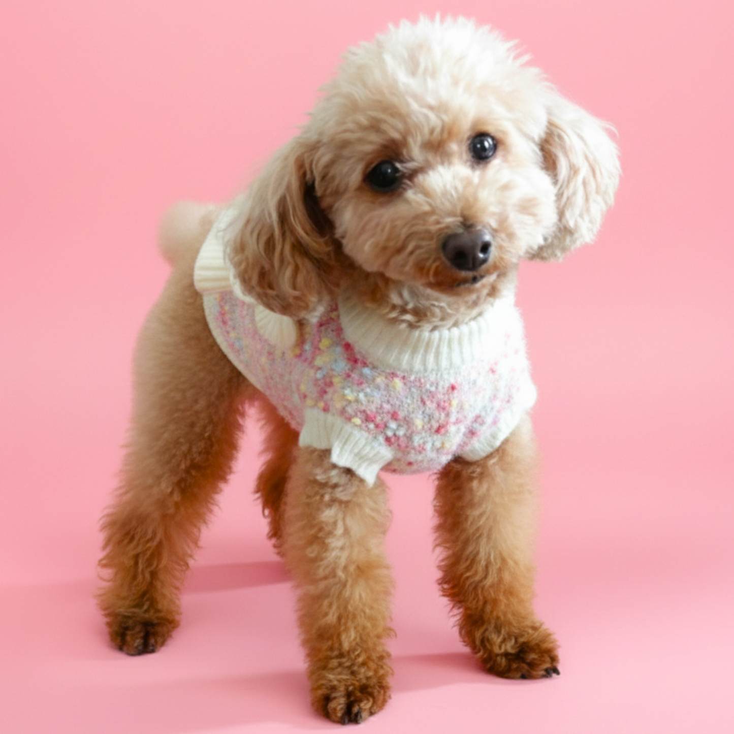 犬服 小型犬｜くまぬいぐるみ付き ガーリーニットフリルワンピース