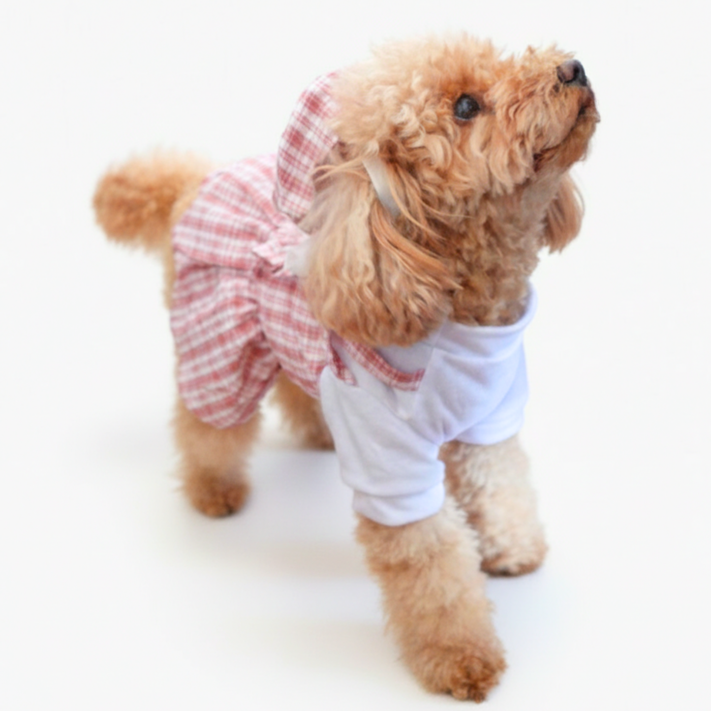 犬服 小型犬｜ギンガムチェック トップス付きワンピース（ミニ帽子付き）