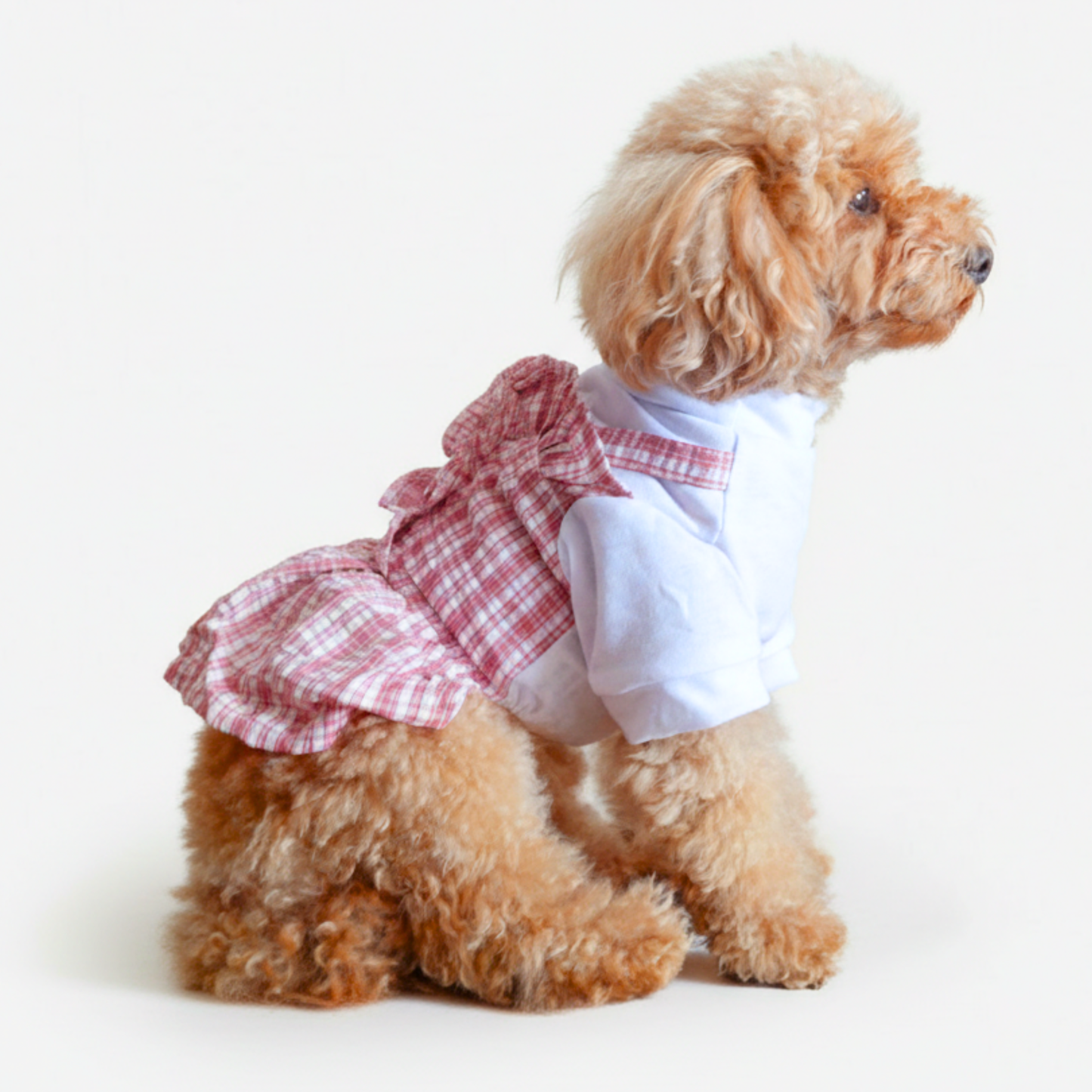 犬服 小型犬｜ギンガムチェック トップス付きワンピース（ミニ帽子付き）