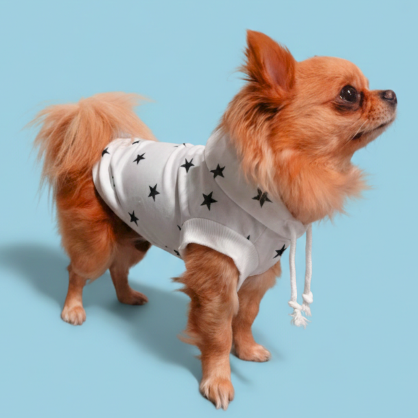 犬服 小型犬｜星柄パーカー 薄手スウェット フーディー 年中使えるカジュアルウェア