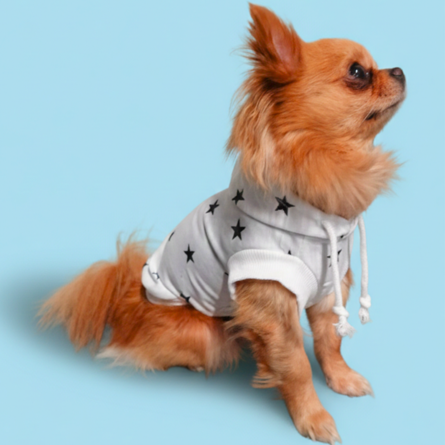 犬服 小型犬｜星柄パーカー 薄手スウェット フーディー 年中使えるカジュアルウェア