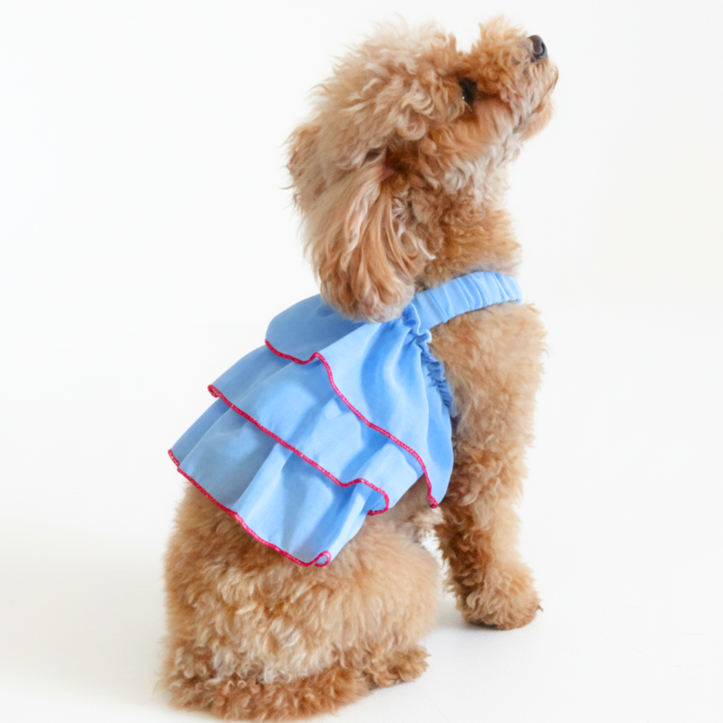 犬服 小型犬｜フリルシフォン キャミワンピース（ブルー）