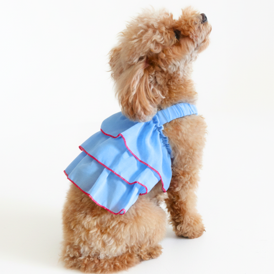 犬服 小型犬｜フリルシフォン キャミワンピース（ブルー）