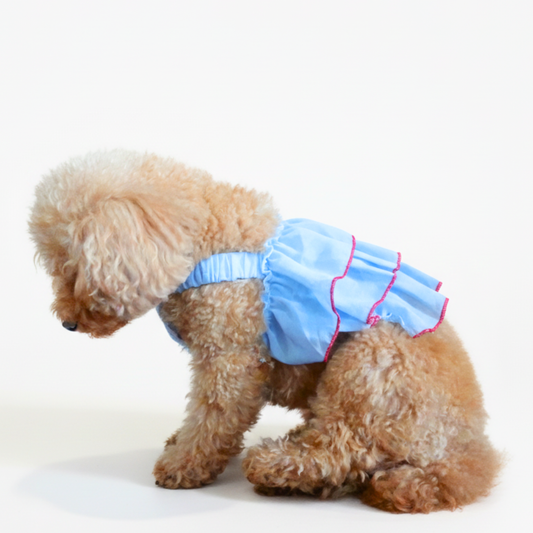 犬服 小型犬｜フリルシフォン キャミワンピース（ブルー）